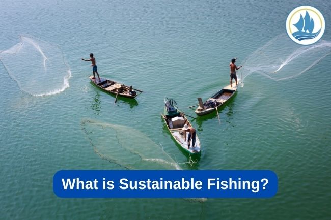What Is Sustainable Fishing?